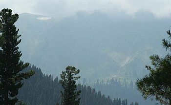 Hotel Zahgeer Continental Gulmarg Dış mekan fotoğraf